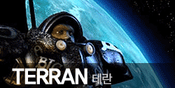 테란